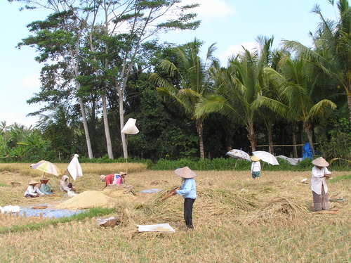 2005_indonesiatrip_231_2
